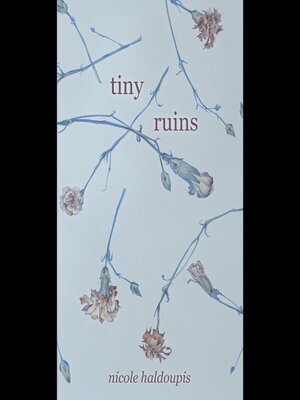cover image of Tiny Ruins
